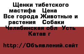 Щенки тибетского мастифа › Цена ­ 80 - Все города Животные и растения » Собаки   . Челябинская обл.,Усть-Катав г.